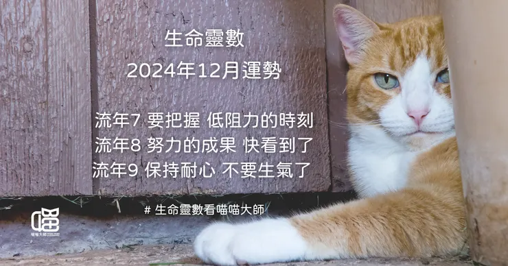 生命靈數看 2024年12月運勢-流年7、流年8、流年9
