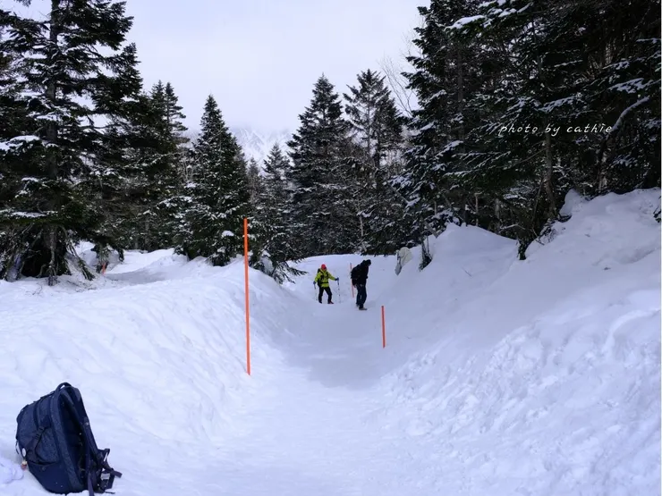 西穗高口站旁的頂峰森林被白雪覆蓋，但仍有從雪地中鑿出道路供遊客行走。