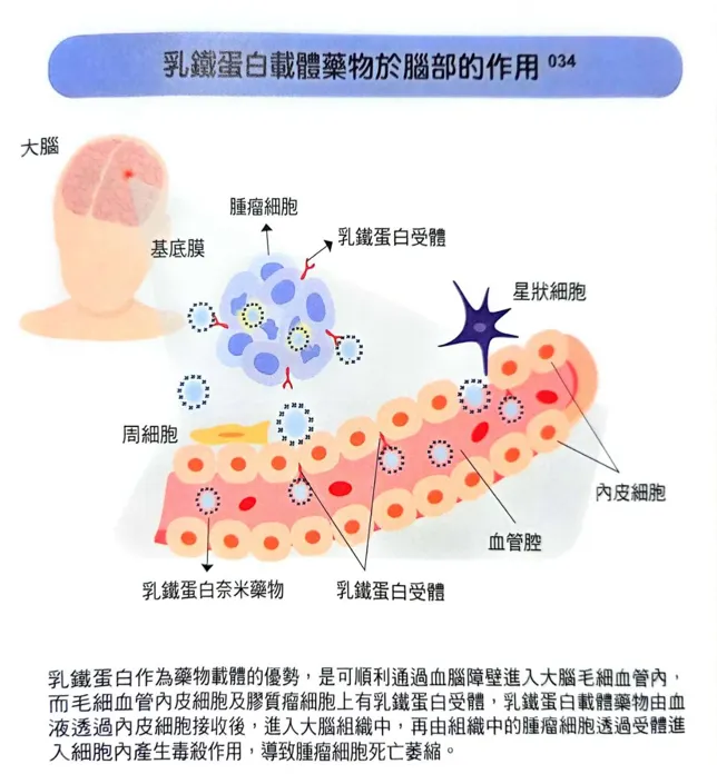 (摘自本書第153頁)