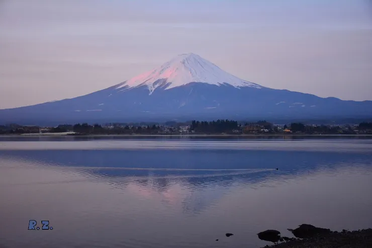 白雪反射紅色霞光,湖面呈現富士山倒影 ([陳傳義]拍攝)