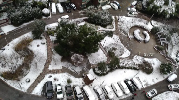 上海下雪了?! 街頭飄著細雪像極了電影場景，對習慣南方冬天的人來說，那不是普通降雪，而是一種難得的城市浪漫與新鮮感。