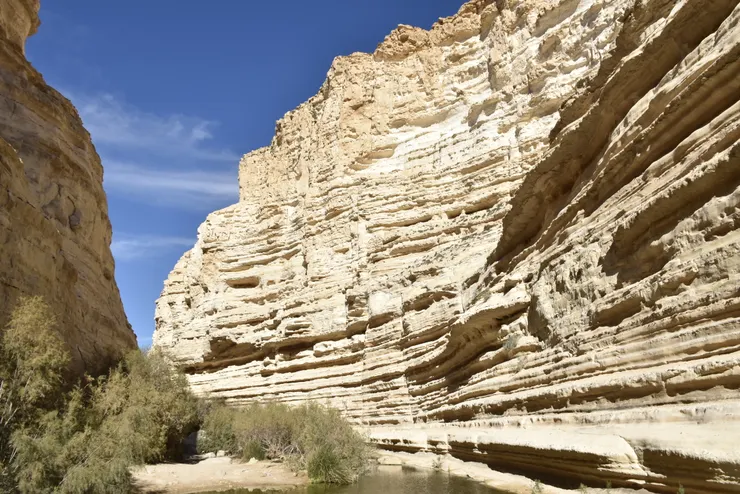 20170317在以色列ARAD曠野(李建崑攝影)