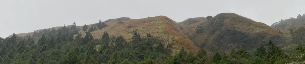 愛的正反合的沙龍