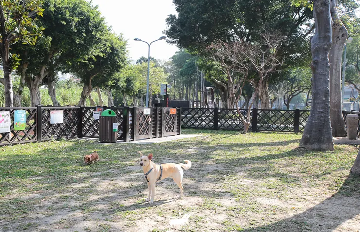 1. 台北景點：士林寵物公園（士林區福林里至善公園內）