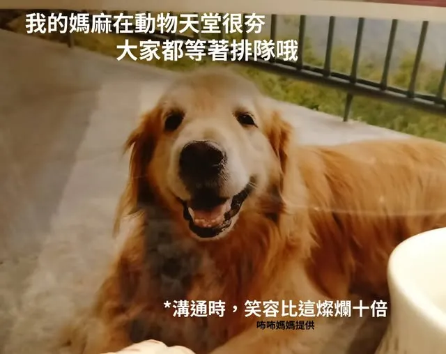 咘咘媽媽提供