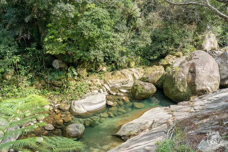 圓潭自然生態園區,圓潭生態園區,圓潭,嘉義景點,梅山景點,瑞里景點,嘉義,登山步道,戶外休閒,嘉義IG打卡