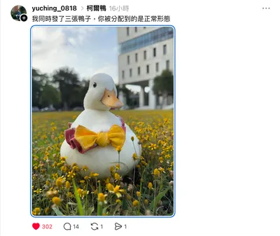 31 de marzo ｜今日單字 ｜Pato