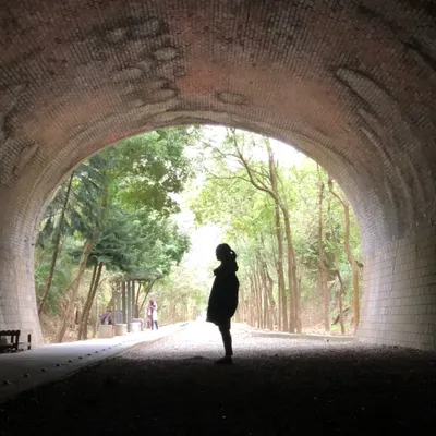 洞裡的安妮亞的沙龍