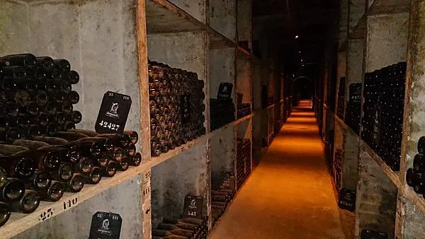 法國勃艮地酒鄉之行