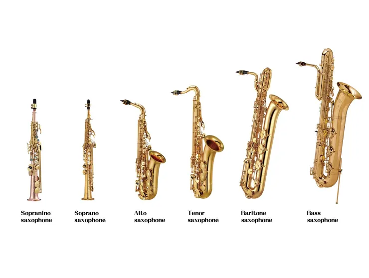 薩克斯風家族(Saxophone Family)