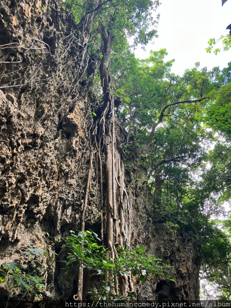[ 美食景點 ] 2024恆春五大私房景點｜海景、山景、咖啡
