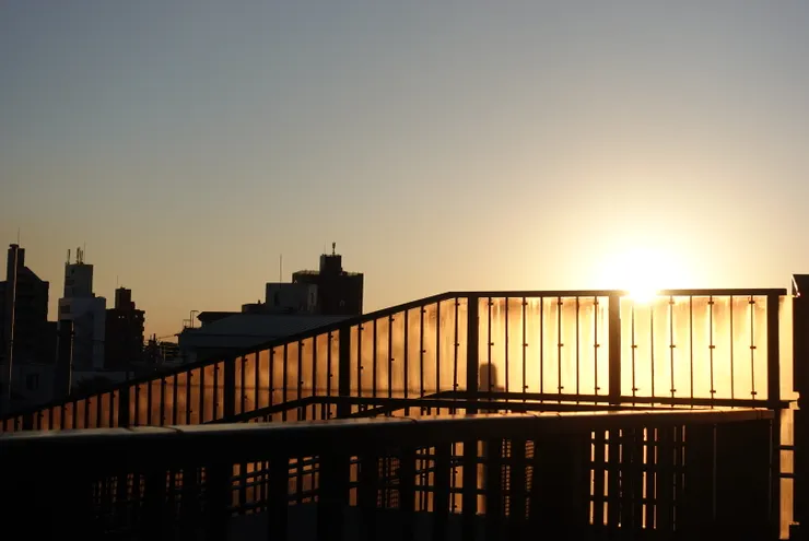 最喜歡的莫過於這樣柔柔暖暖的日光