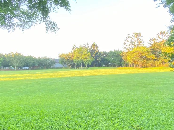 飯店正對面的景色