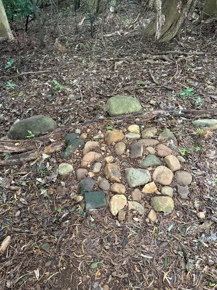 2025/12/31 去看圓圓