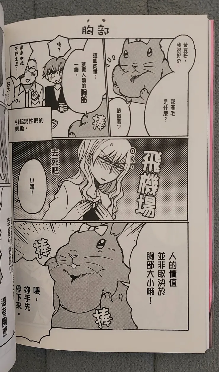 人的價值並非取決於胸部大小