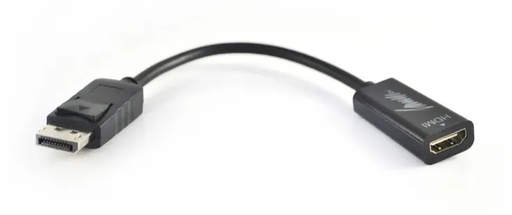 DisplayPort 轉 HDMI（母），可沿用原有 HDMI 線，但能直通就盡可能不要轉接