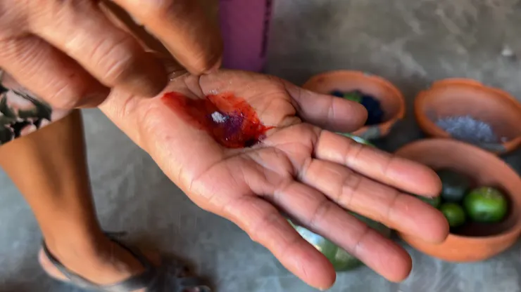 胭脂蟲的胭脂紅酸