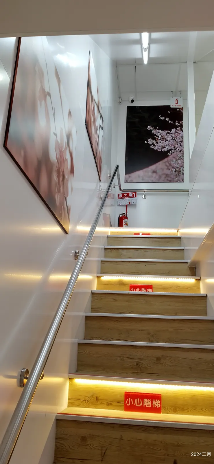 小七畫廊賞櫻趣