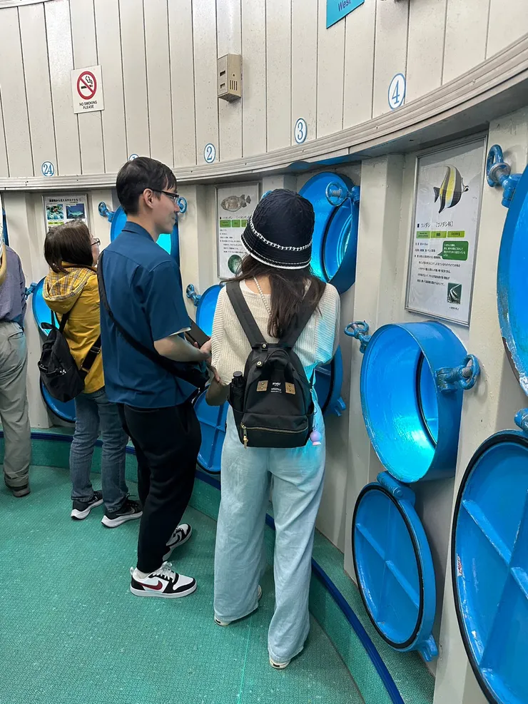 近距離觀賞魚兒~