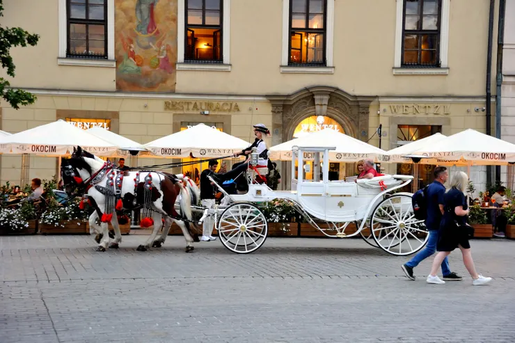 【馬車光鮮來往先須掩鼻再思浪漫】