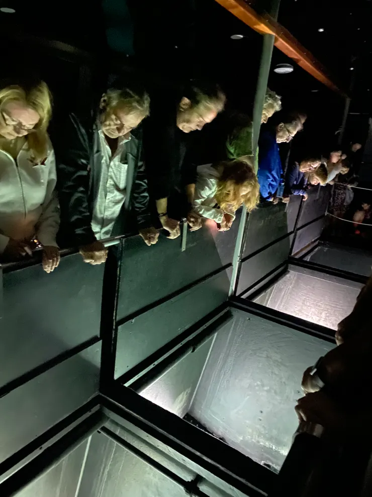 百慕達三角洲夜遊