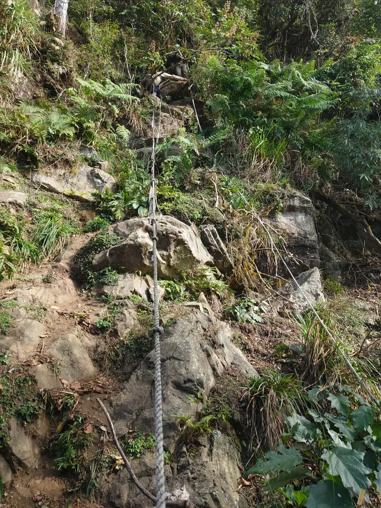 我在這段花了不少時間尋找採點