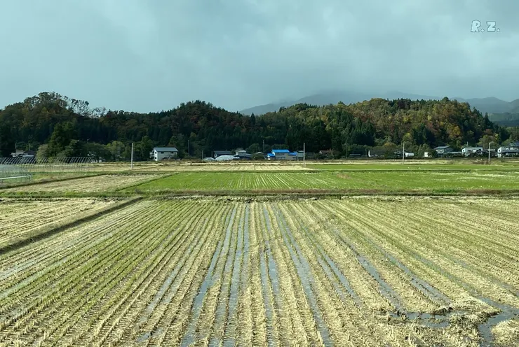 農家住在山麓,田地淨空 ([陳傳義]車拍)
