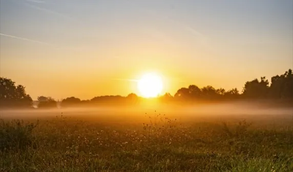 Pexels 上由 Mohamed B. 拍攝的相片