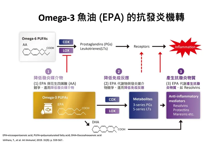 魚油抗發炎機轉