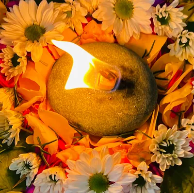 Ha Yu 的靈視閱讀與生活手扎