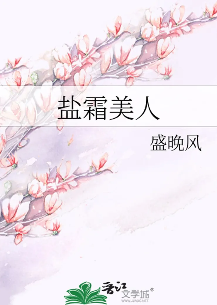 《鹽霜美人》作者：盛晚風