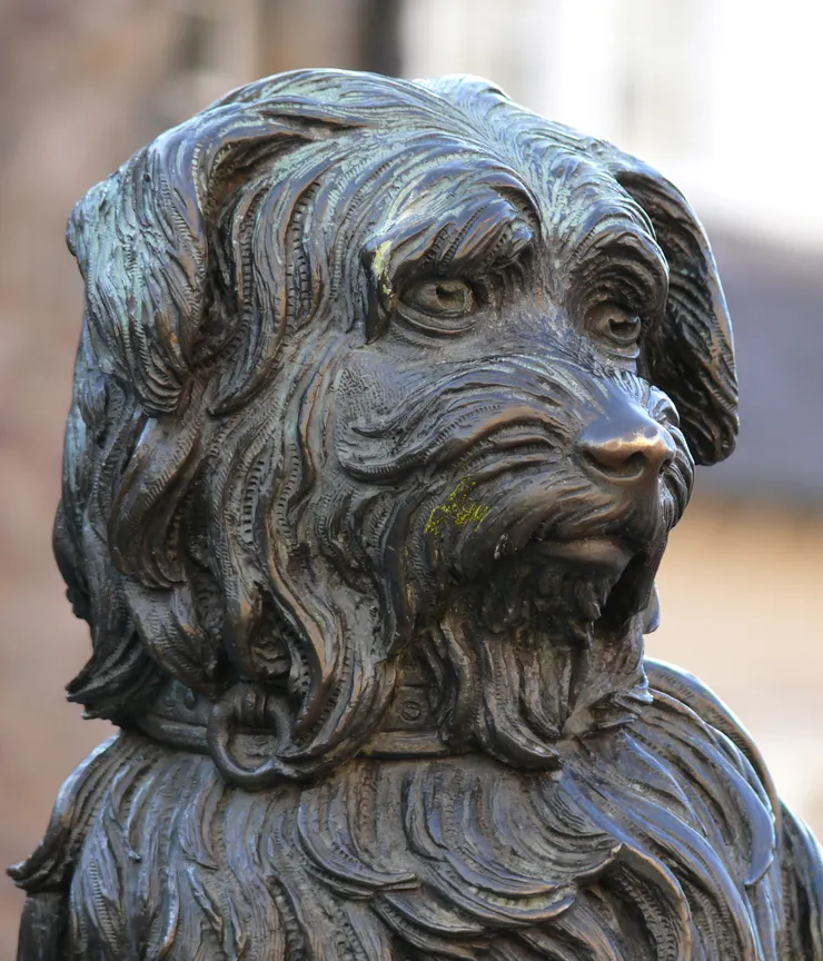 本照取自 wiki 分享