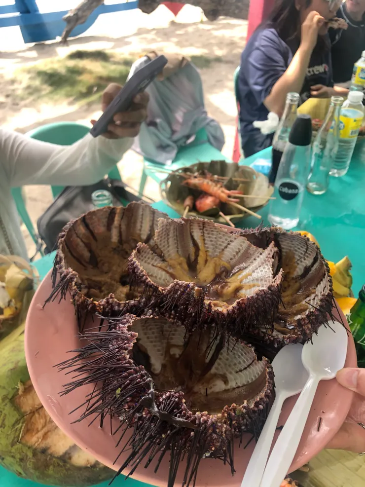 海參！coco他們就是踩到這個的刺。我不喜歡吃這個