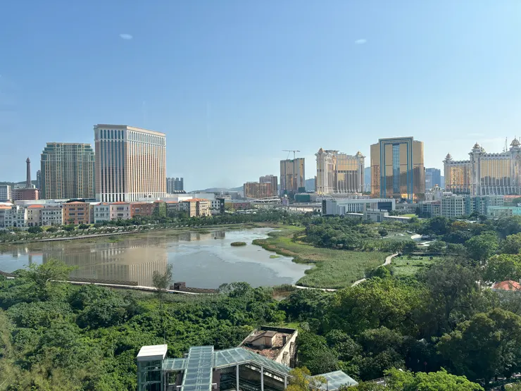 山坡上觀看市區一景，可見金碧輝煌的酒店。