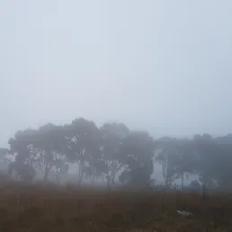 嘗試降落的沙龍