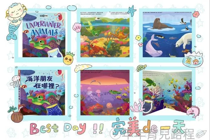Igloo Books-海洋朋友在哪裡(Underwater Animals)