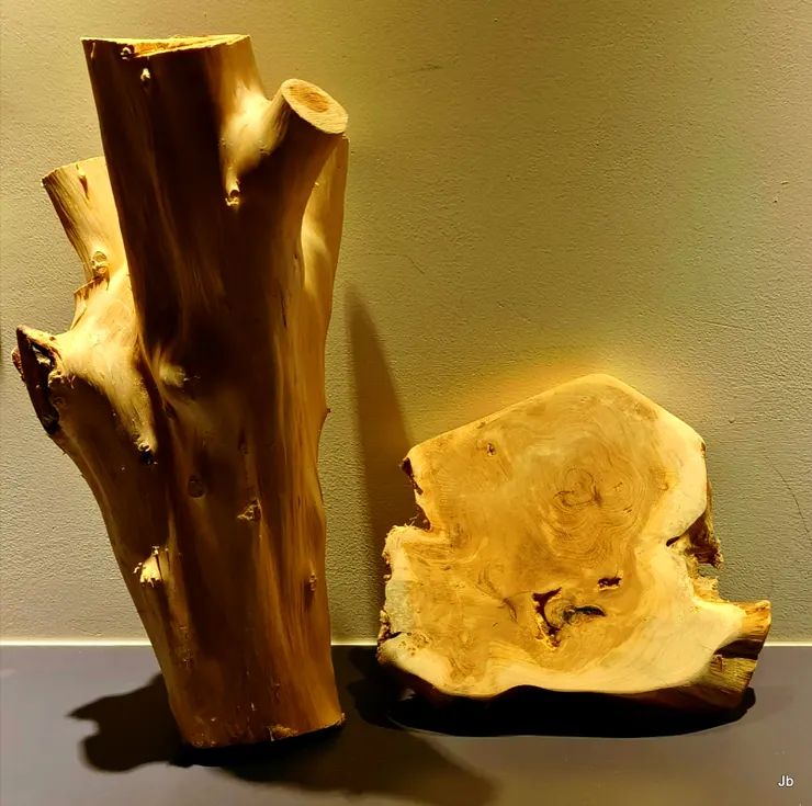 左為諸老柏中，老媽保留下來的一段，她說這不是 最粗的，木工不老實，把最好的拿走了！右則為我和老婆整理半天的樹頭，最後只能做成這麼一片，但真是香啊！