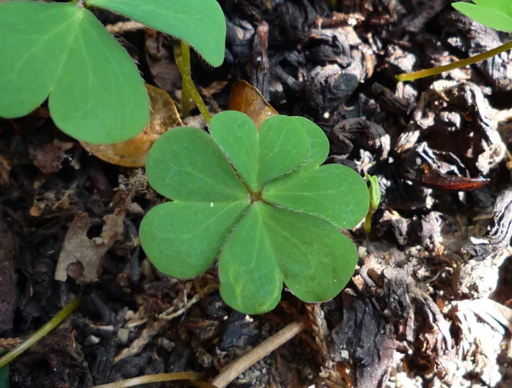 小確幸的貴人其實俯拾即是
