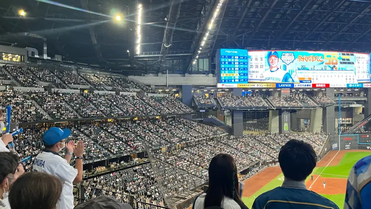 螢幕上都有應援詞，對新手來說也非難事。