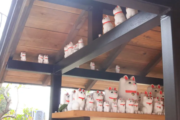 寺方還有幫朝福貓們蓋遮風避雨的家