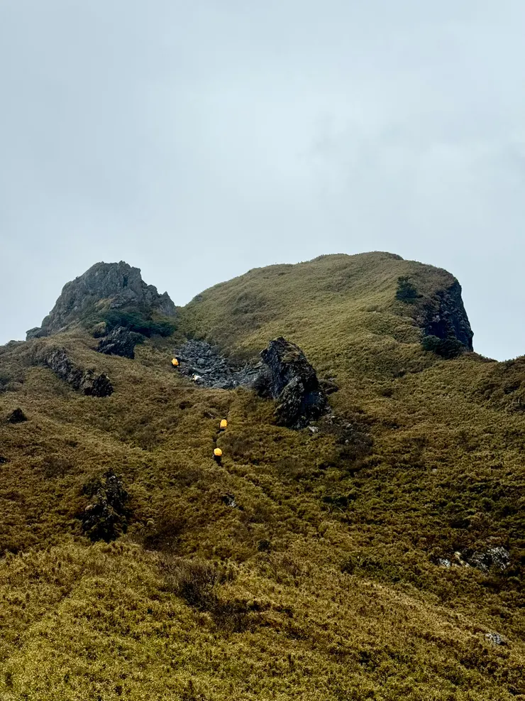 遠望正在前行的協作。