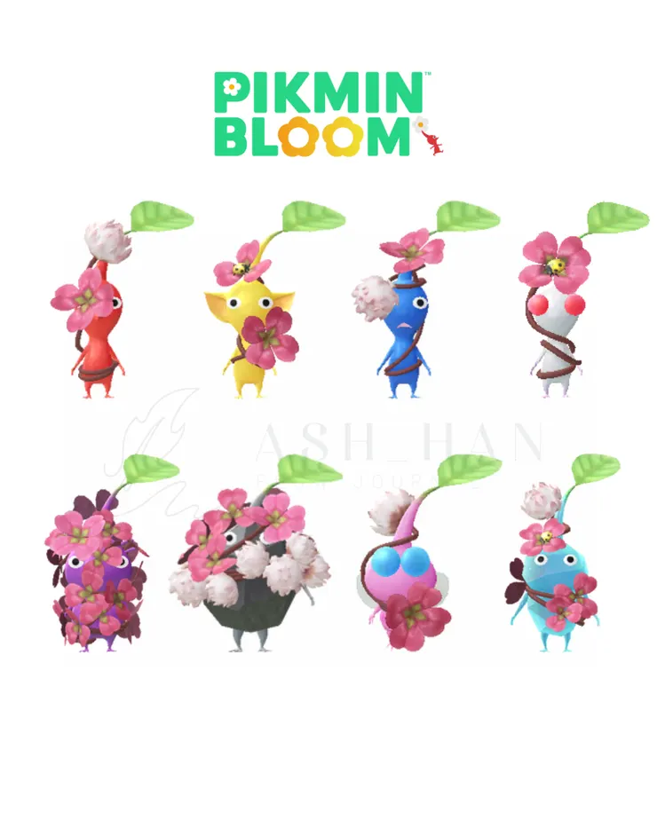 四葉幸運草(稀有)