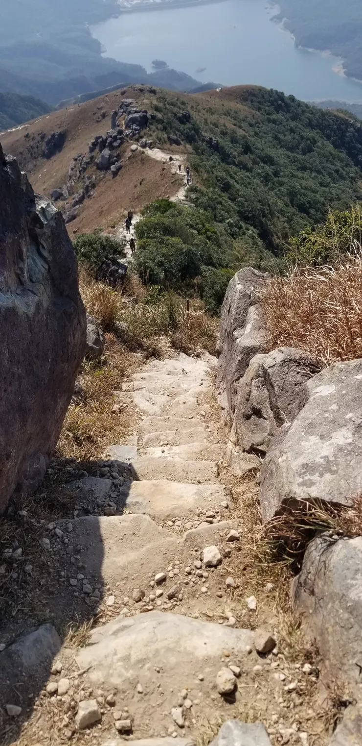 進退兩難，但仍需前行