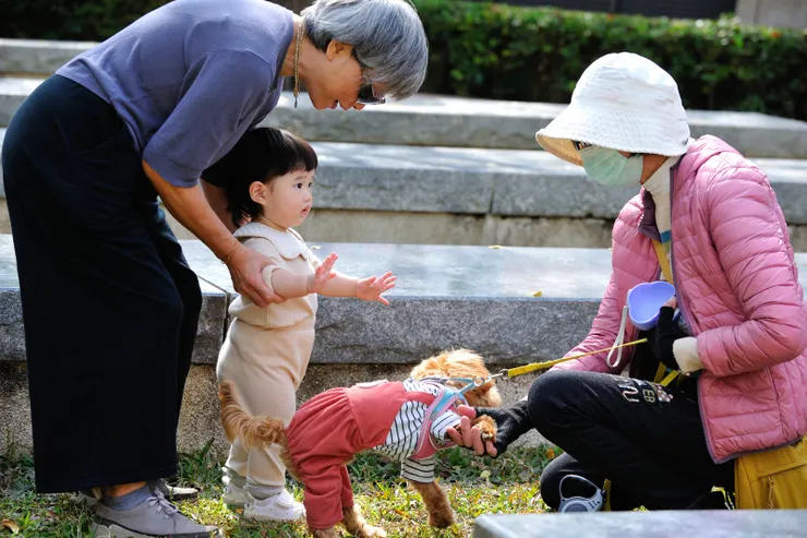 【兩老也能單獨帶出門嬉遊大半天！爺爺奶奶帶去民俗公園玩，萬萬喜歡看狗狗。】