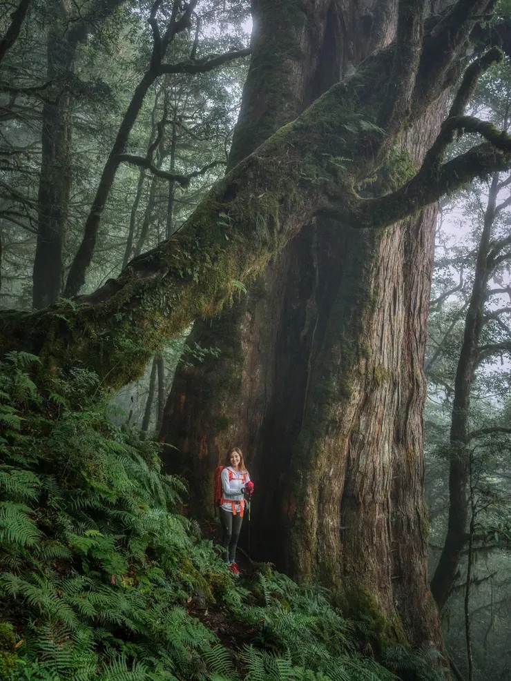 美美的先來一張！！