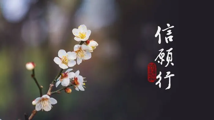 善根是信解，福德是行證。一句阿彌陀佛，福慧雙修，定慧等學。