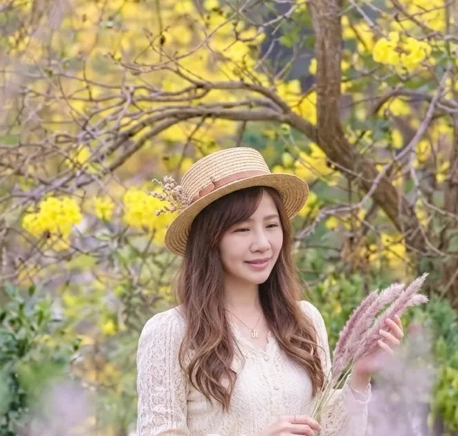 峨眉黃花風鈴木拍照