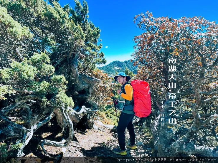 【帝王之山4天3夜】南湖大山之多加屯山/巧遇帝雉一家/勝光登