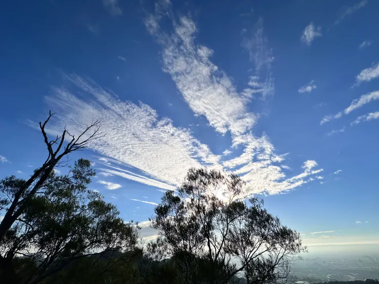 來自新田登山步道的禮物:D