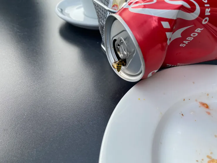 就是蜜蜂🐝讓我吃得很緊張